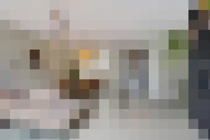 Van der Waalslaan 88 Rotterdam thumbnail 16
