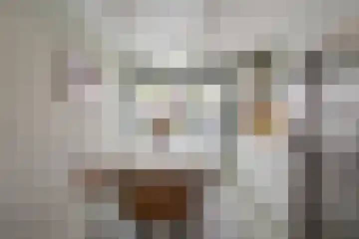Van der Waalslaan 88 Rotterdam thumbnail 17
