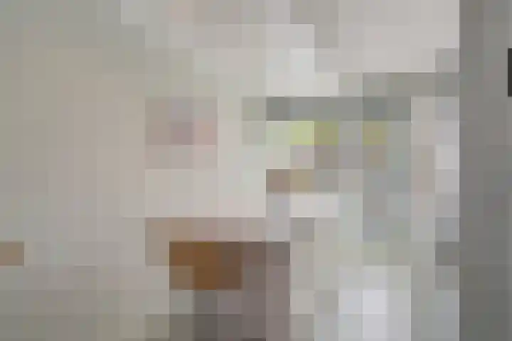 Van der Waalslaan 88 Rotterdam thumbnail 19