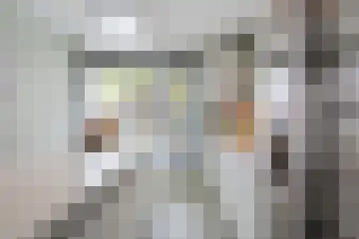 Van der Waalslaan 88 Rotterdam thumbnail 20