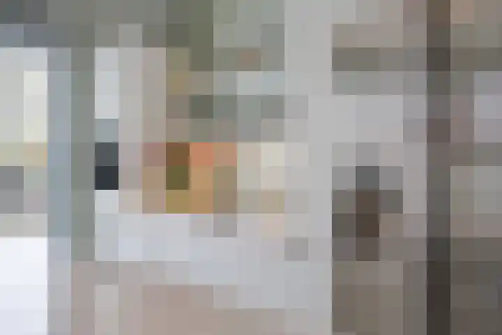 Van der Waalslaan 88 Rotterdam thumbnail 22