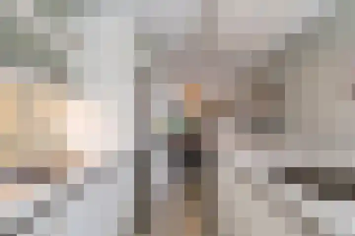 Van der Waalslaan 88 Rotterdam thumbnail 23