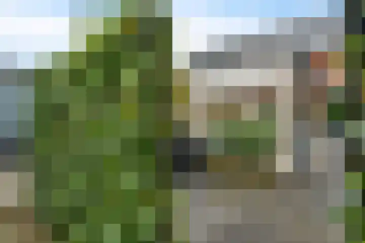 Van der Waalslaan 88 Rotterdam thumbnail 35