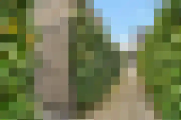 Van der Waalslaan 88 Rotterdam thumbnail 36