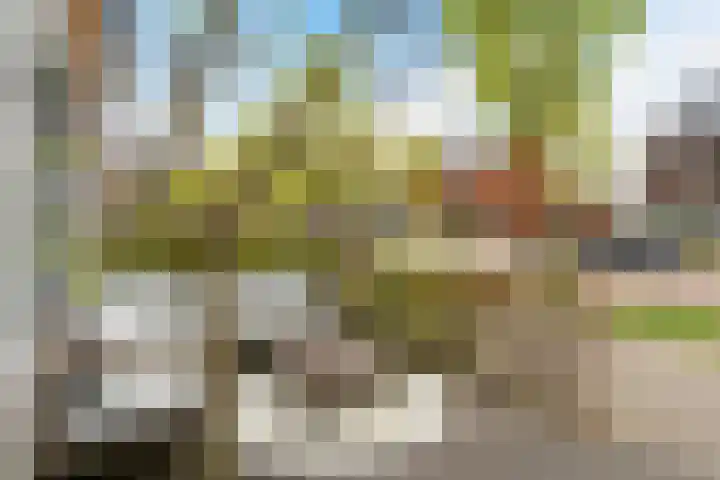Van der Waalslaan 88 Rotterdam thumbnail 7