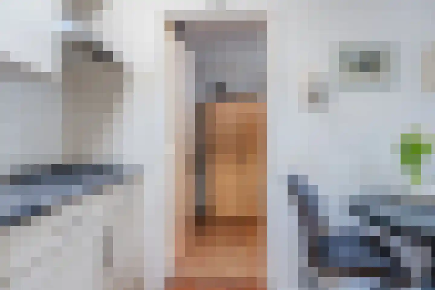 van der Waalspad 1 Assen thumbnail 18