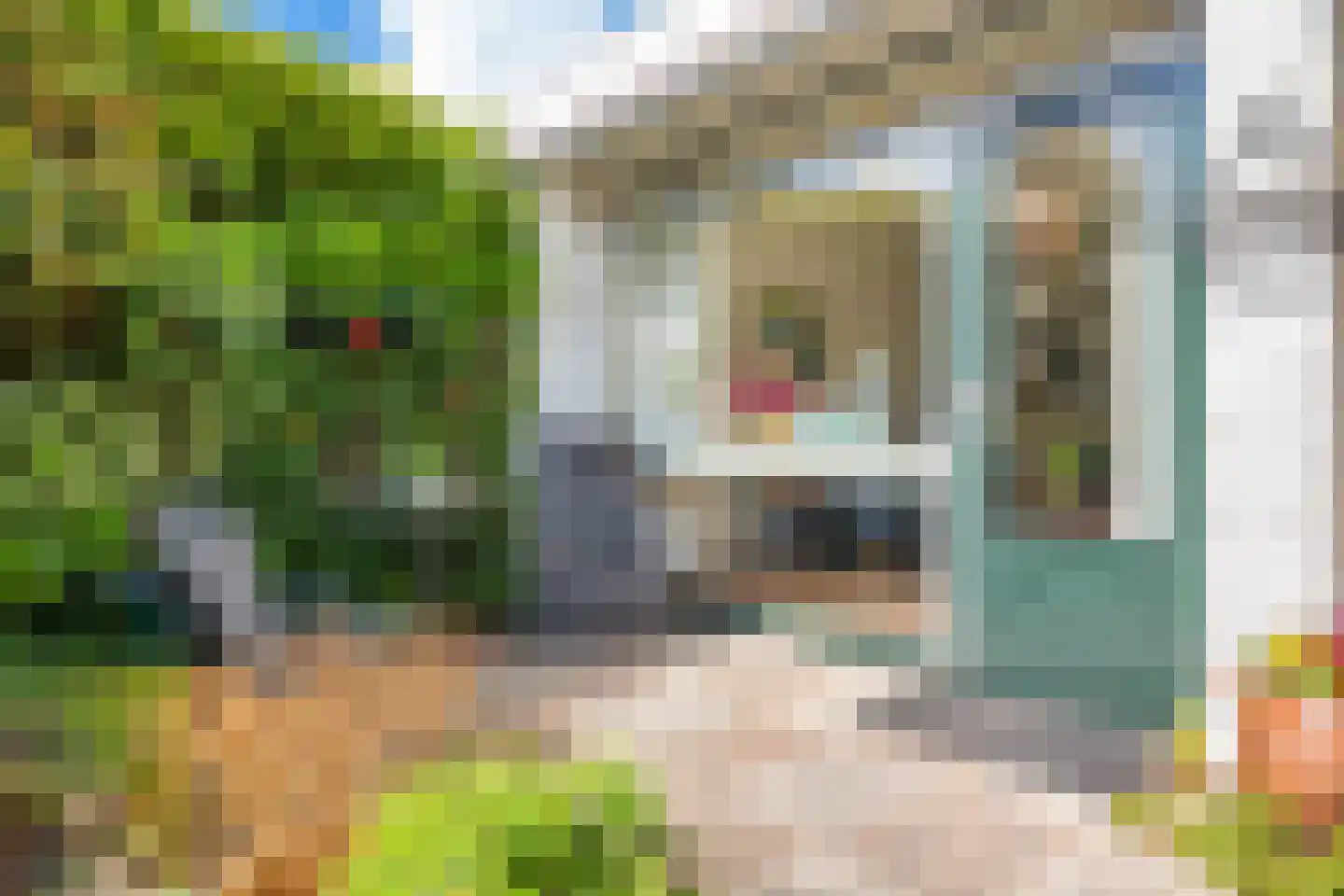 van der Waalspad 1 Assen thumbnail 31