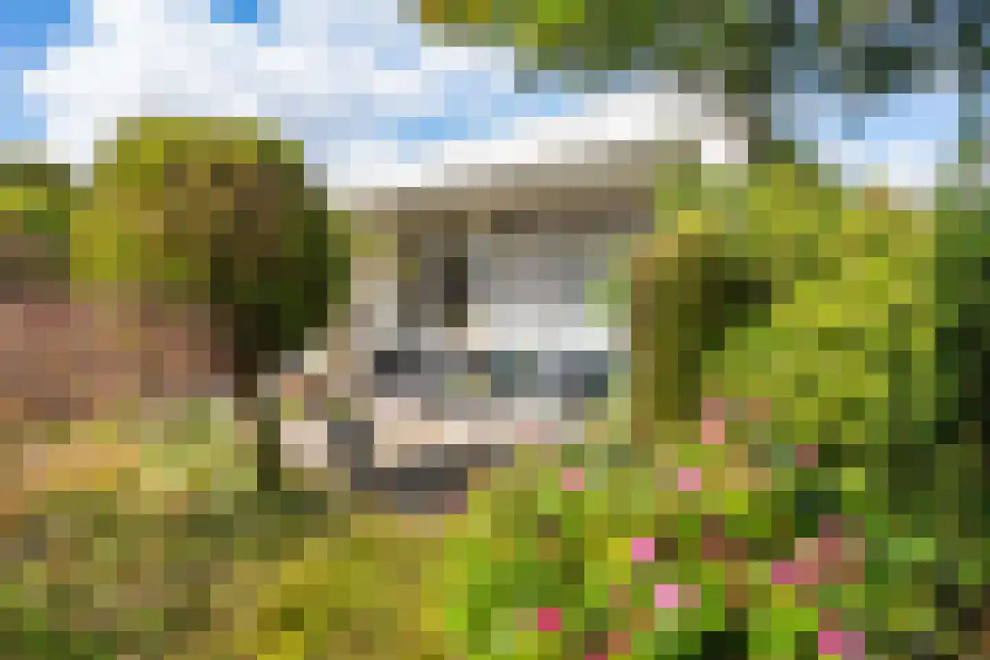 van der Waalspad 1 Assen thumbnail 34