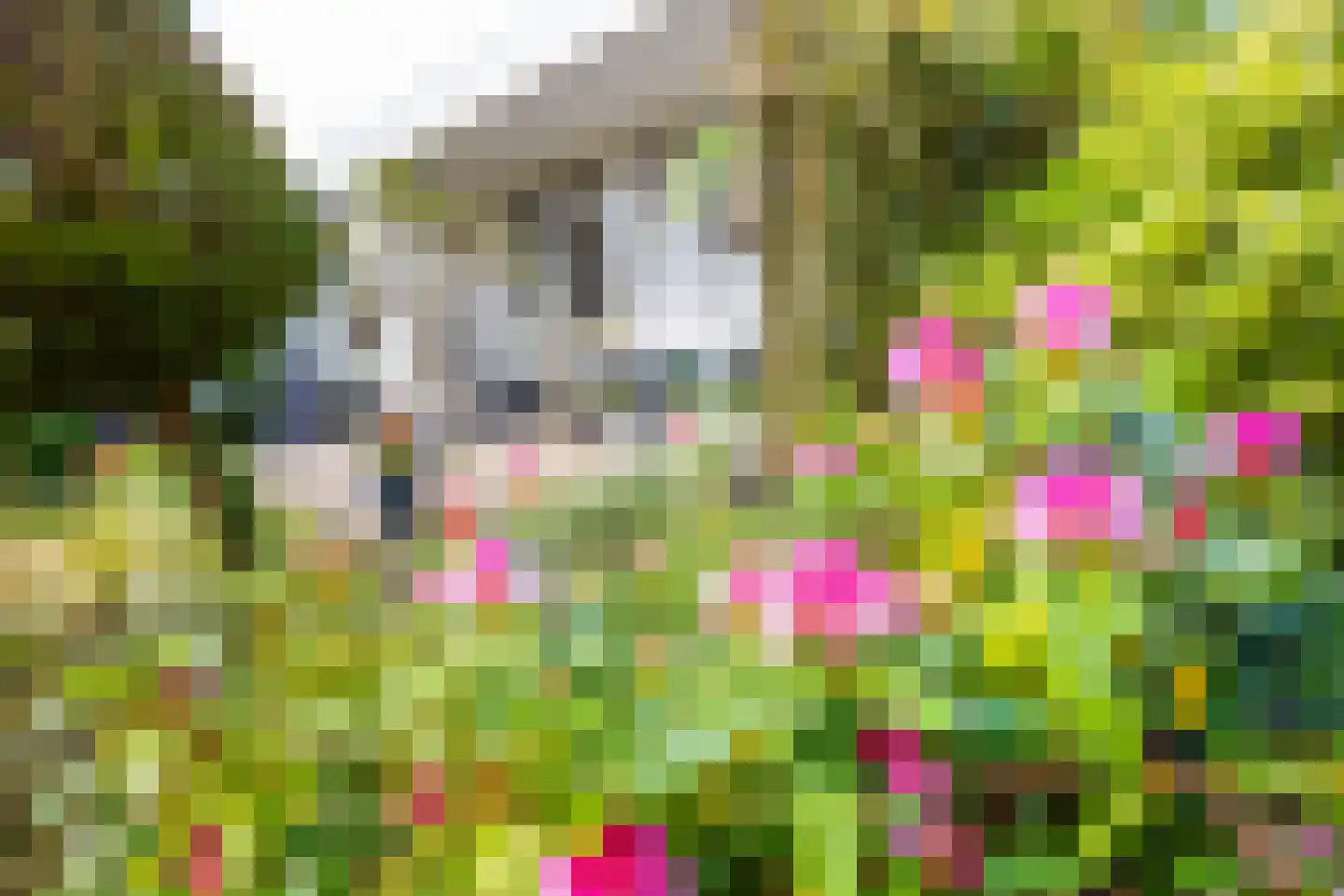 van der Waalspad 1 Assen thumbnail 35