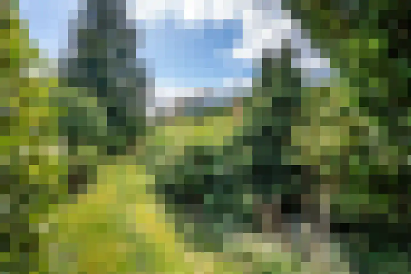van der Waalspad 1 Assen thumbnail 37