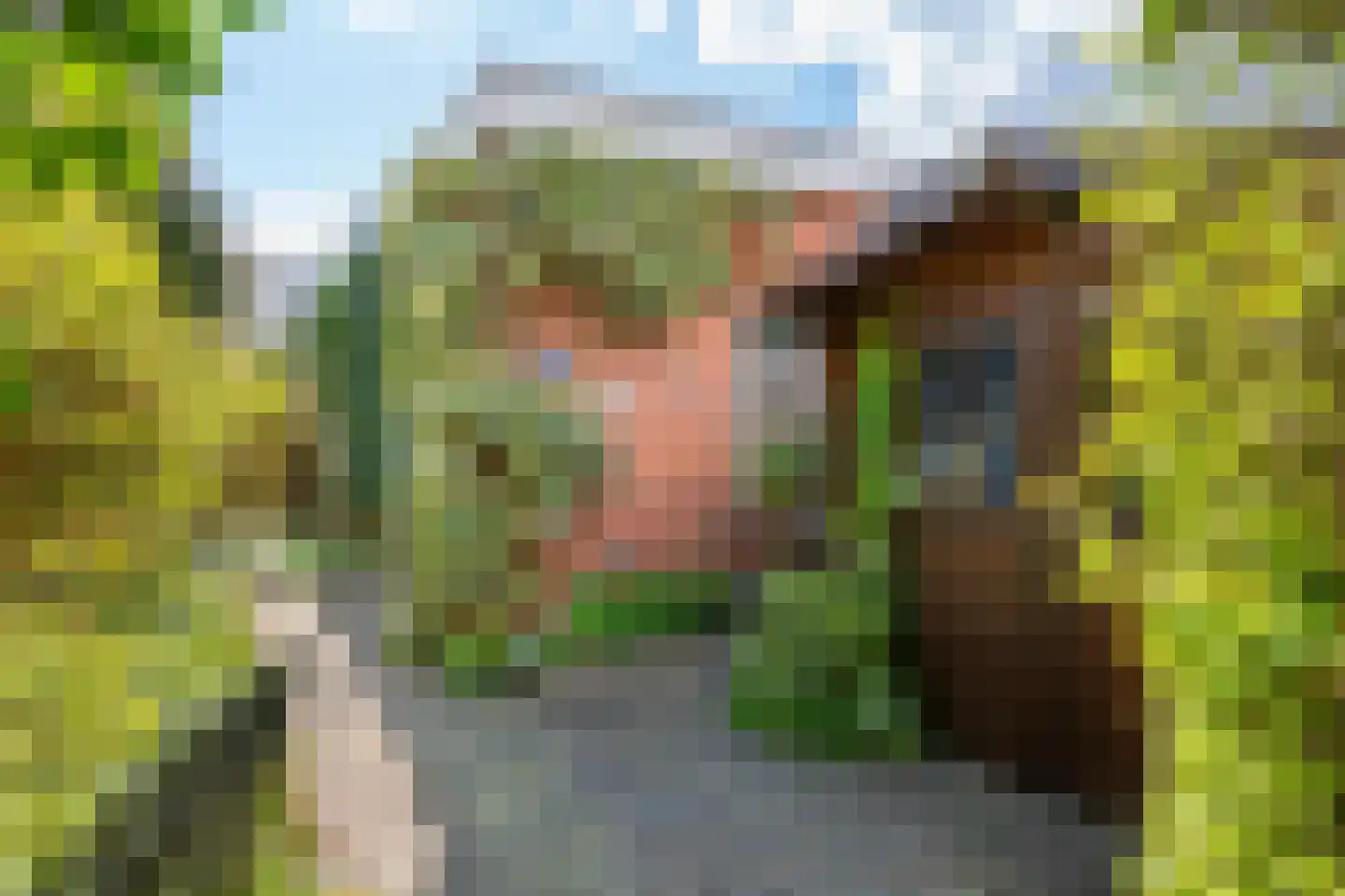 van der Waalspad 1 Assen thumbnail 38