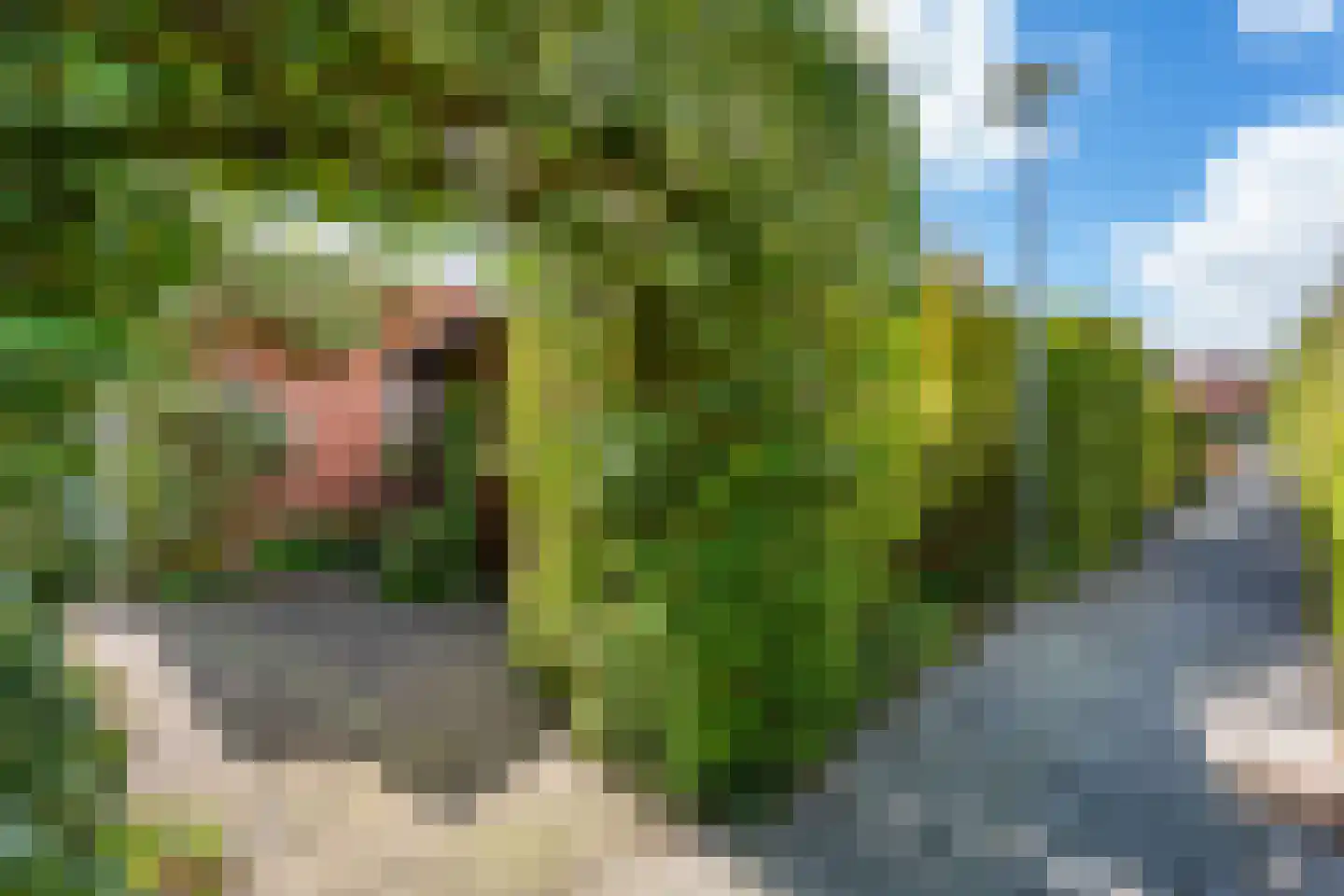 van der Waalspad 1 Assen thumbnail 39