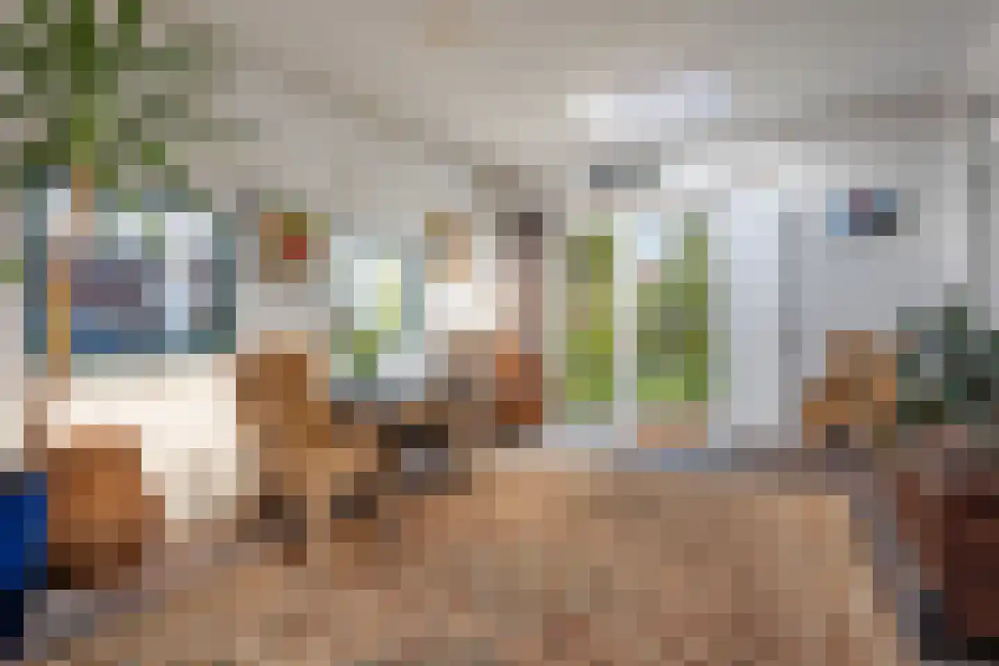 van der Waalspad 1 Assen thumbnail 4