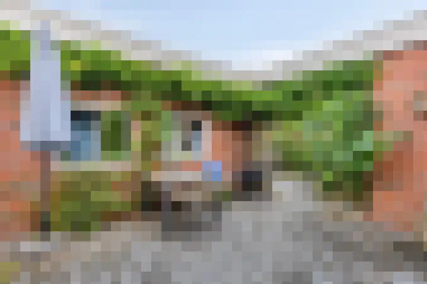 van der Waalspad 19 Assen thumbnail 20