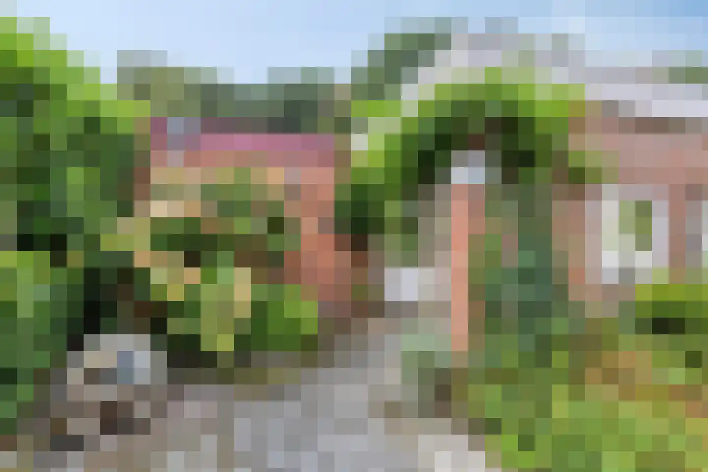 van der Waalspad 19 Assen thumbnail 21