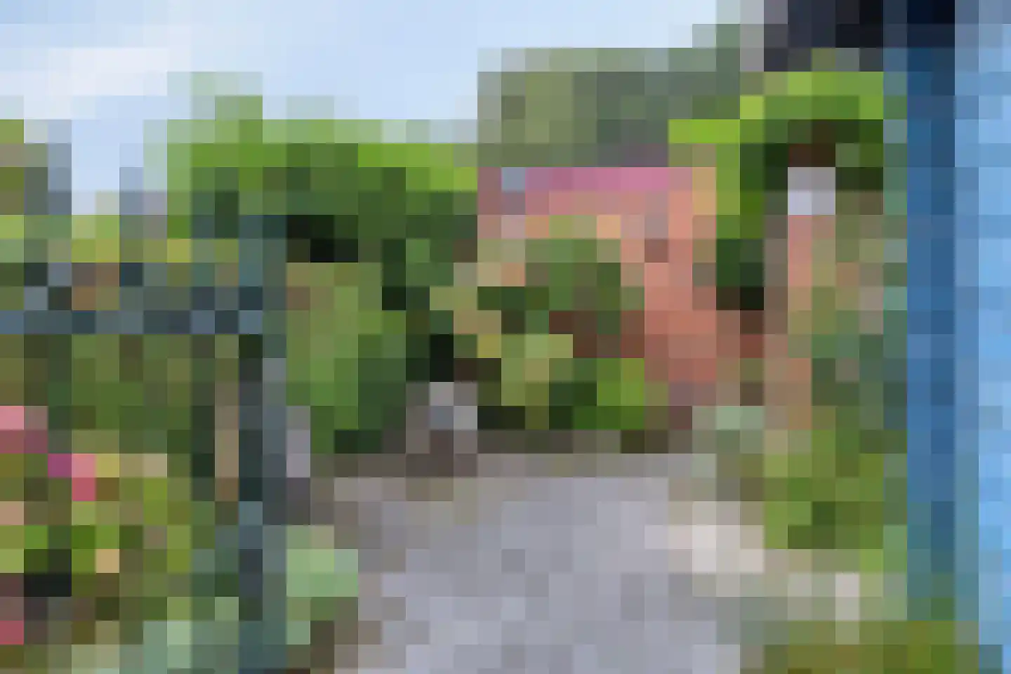 van der Waalspad 19 Assen thumbnail 23