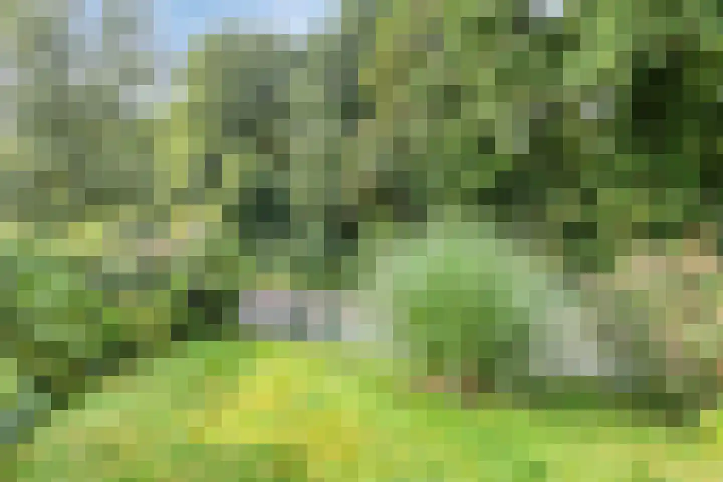 van der Waalspad 19 Assen thumbnail 25