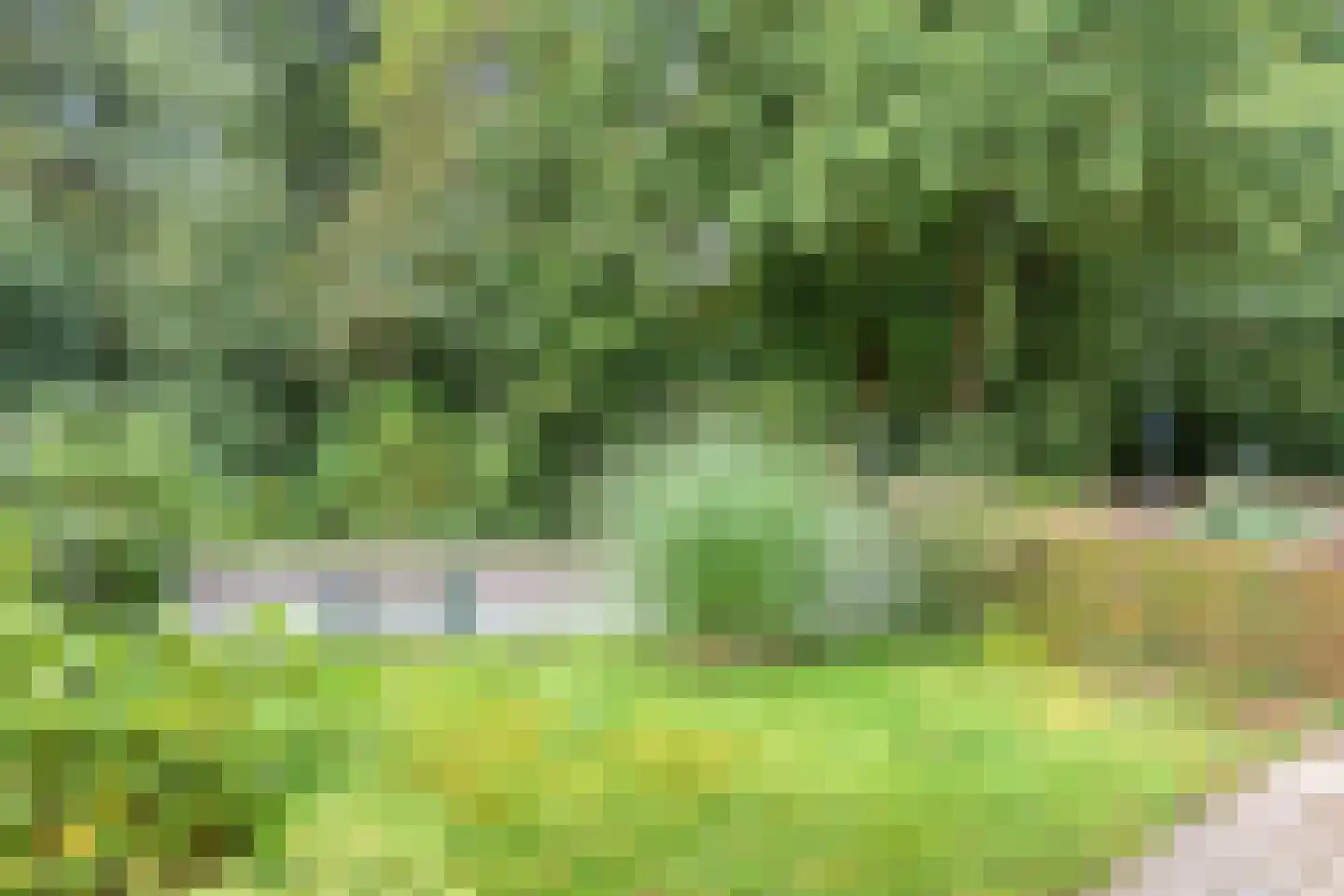 van der Waalspad 19 Assen thumbnail 4