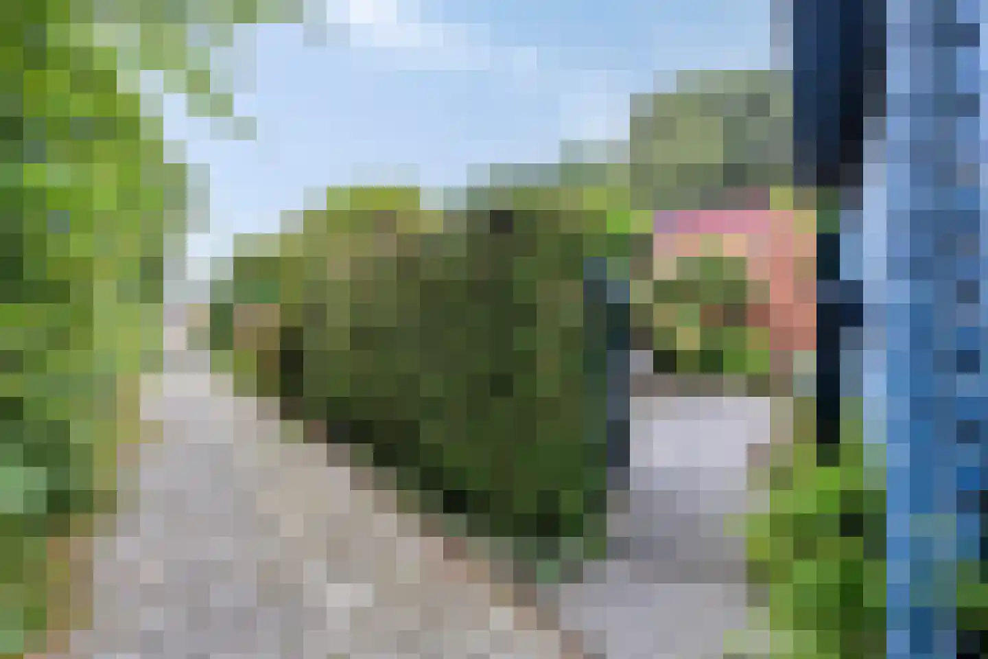 van der Waalspad 19 Assen thumbnail 7