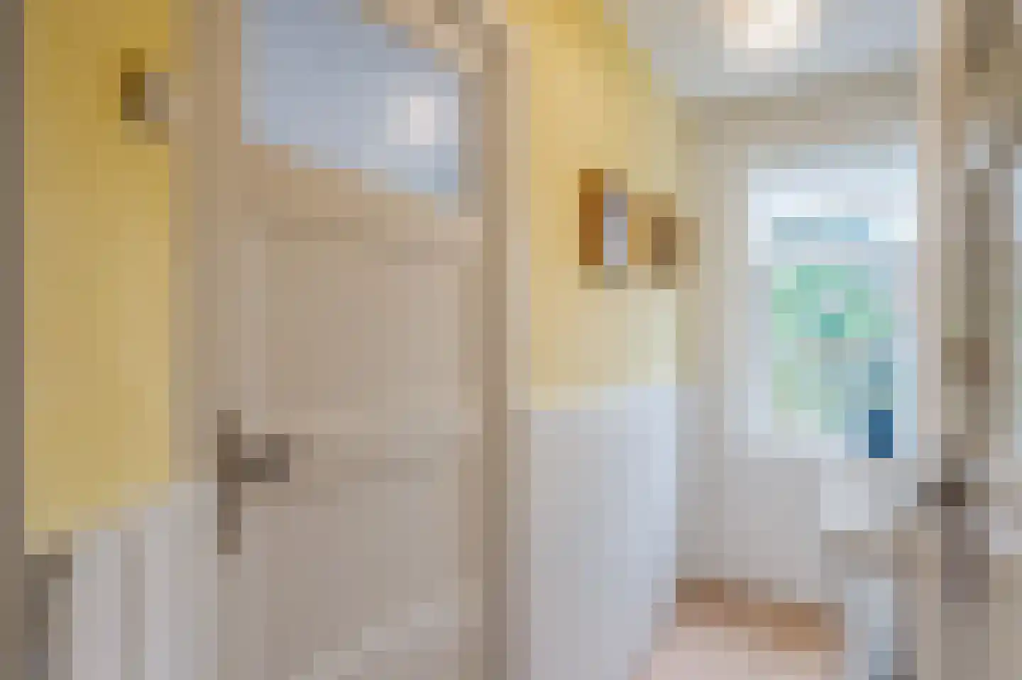 Van der Waalsstraat 1 b Groningen thumbnail 37