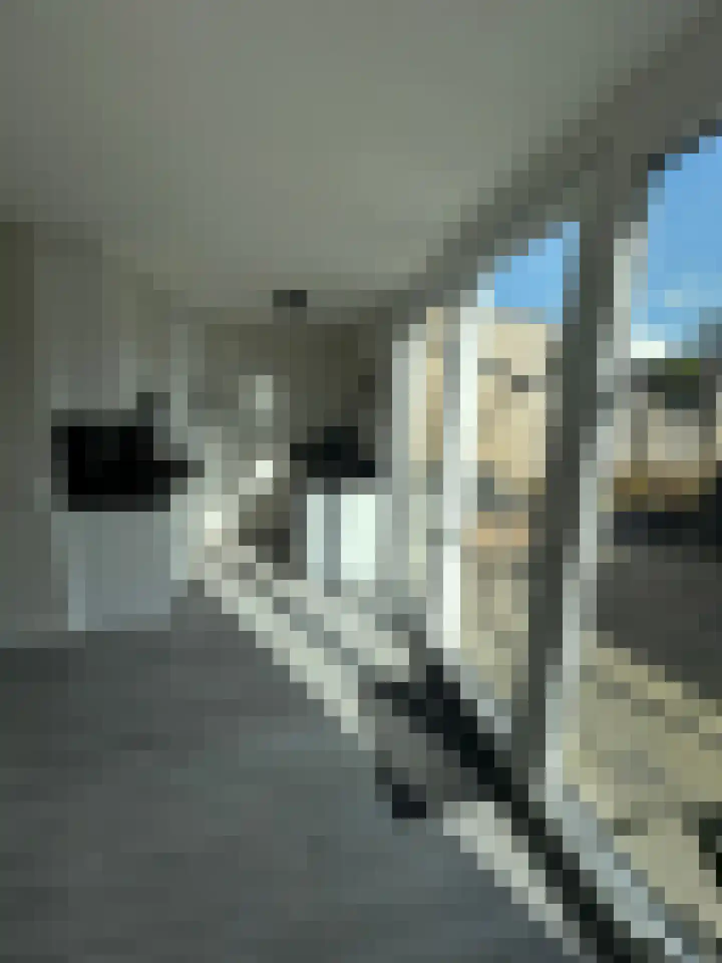 Van der Waalsstraat 1 Ridderkerk thumbnail 45