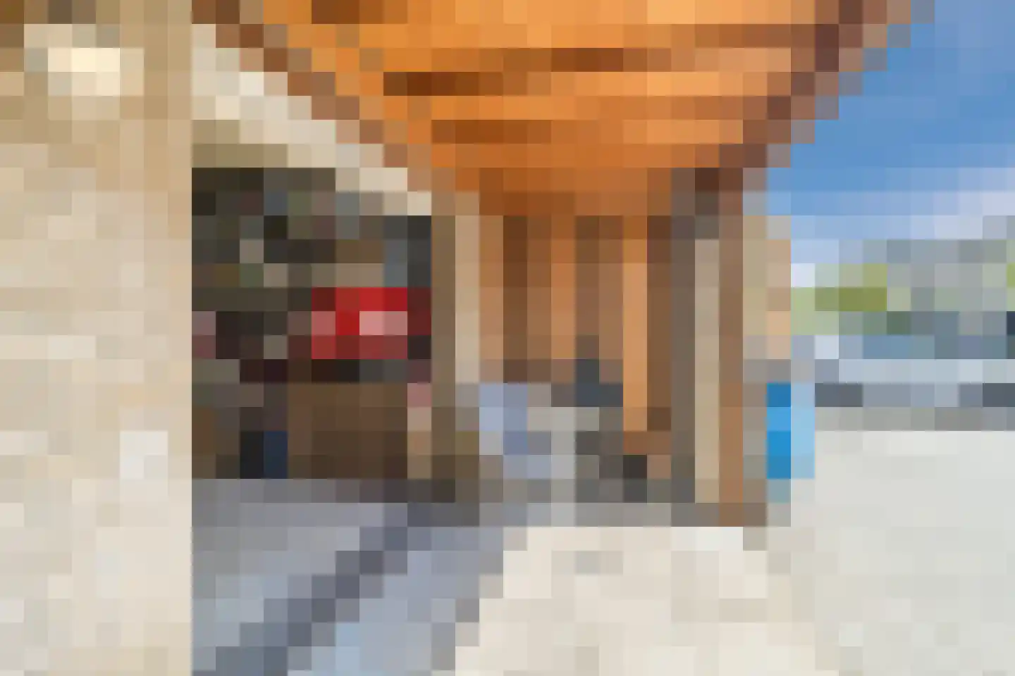Van der Waalsstraat 1 Ridderkerk thumbnail 58