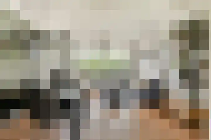 van der Waalsstraat 106 Vlaardingen thumbnail 8