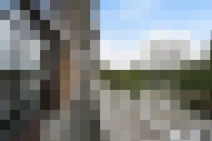 van der Waalsstraat 131 Vlaardingen thumbnail 4
