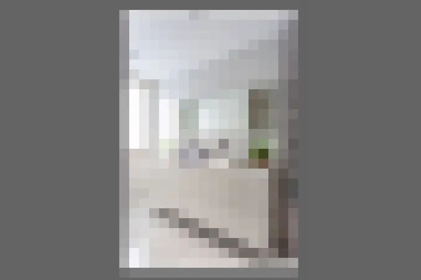 Van der Waalsstraat 2 Badhoevedorp thumbnail 27