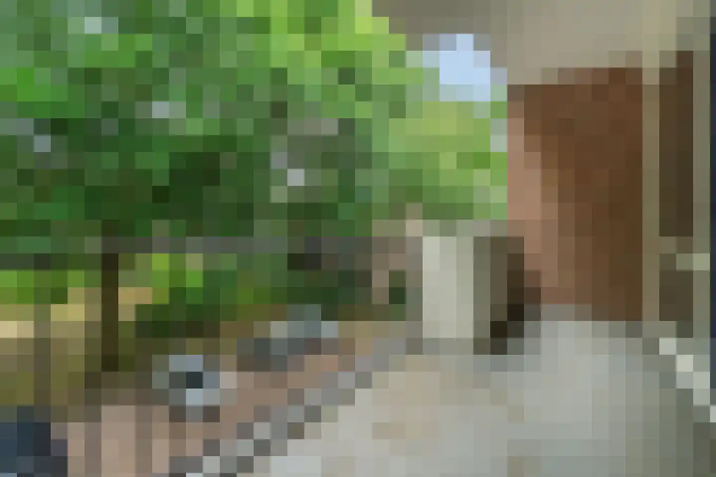 Van der Waalsstraat 2 II Wageningen thumbnail 20