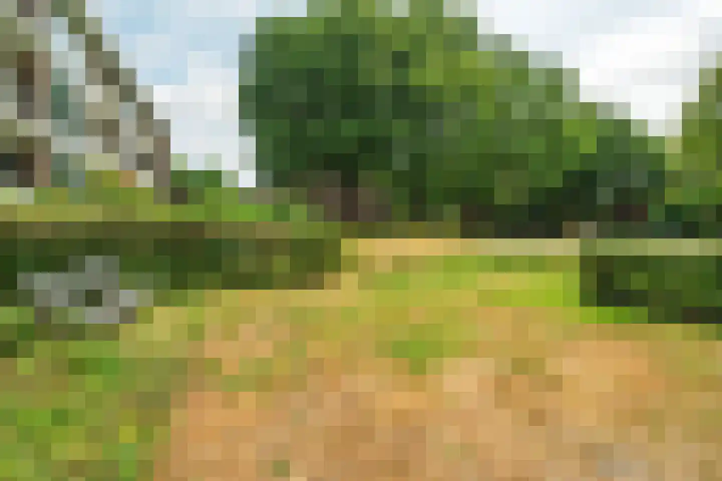 Van der Waalsstraat 2 II Wageningen thumbnail 22