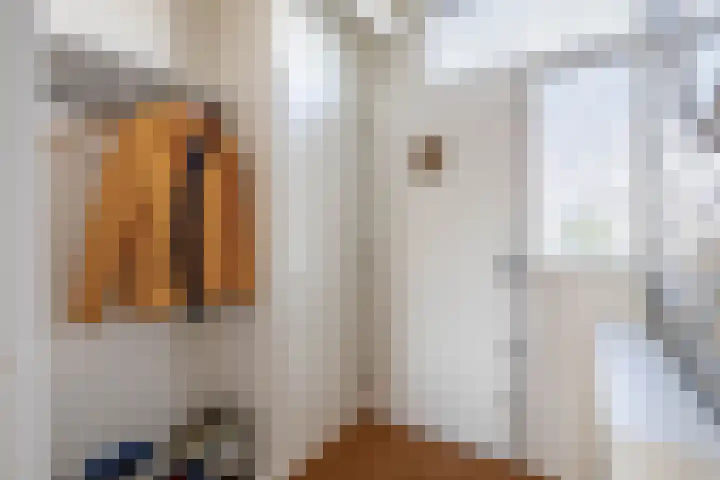 van der Waalsstraat 25 Vlaardingen thumbnail 10
