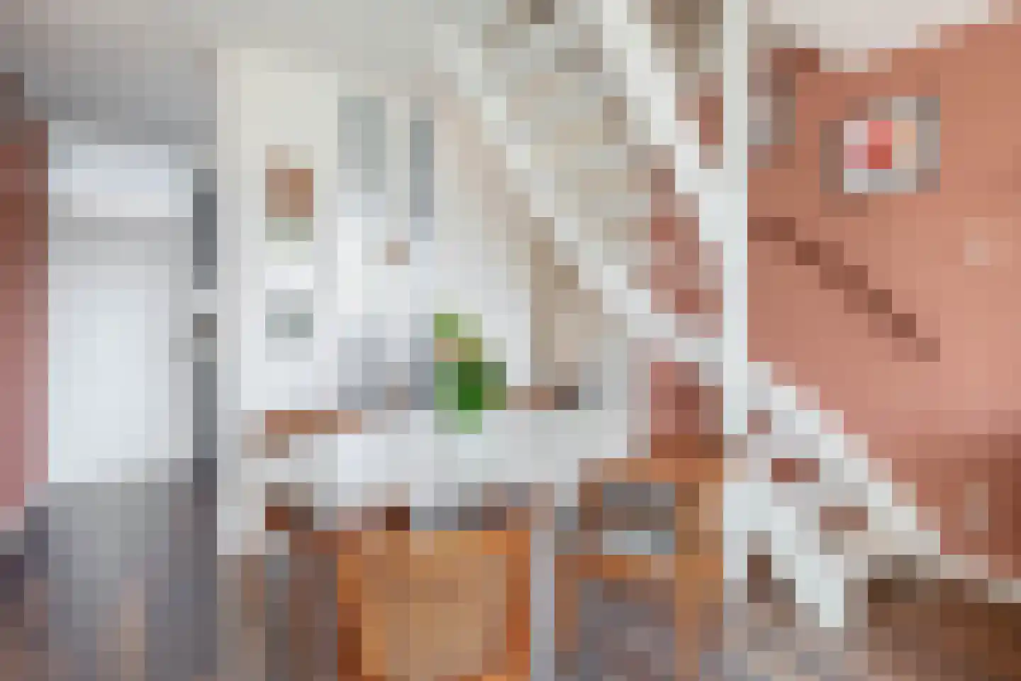 van der Waalsstraat 25 Vlaardingen thumbnail 15