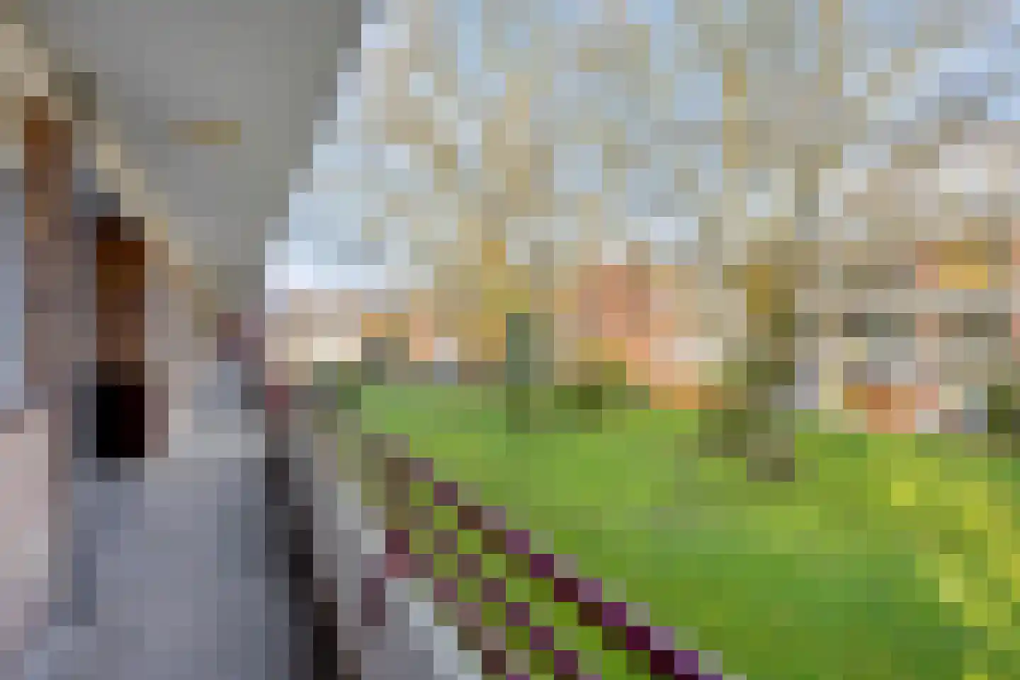 Van der Waalsstraat 28 I Wageningen thumbnail 25
