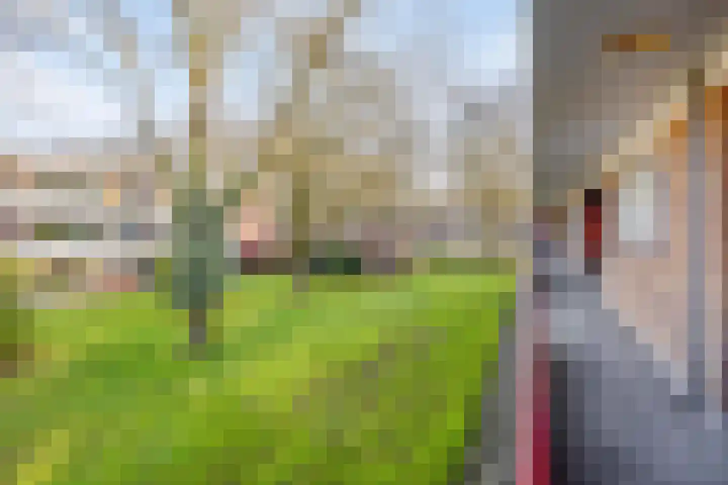 Van der Waalsstraat 28 I Wageningen thumbnail 26