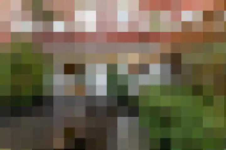 Van der Waalsstraat 3 Groningen thumbnail 27