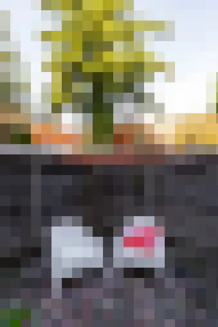 Van der Waalsstraat 3 Groningen thumbnail 30