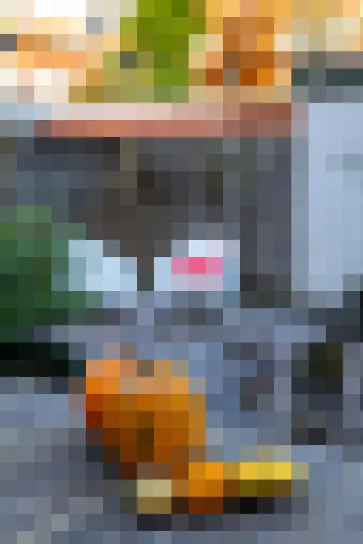 Van der Waalsstraat 3 Groningen thumbnail 31