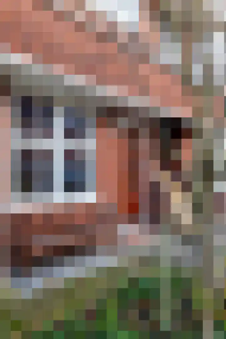 Van der Waalsstraat 3 Groningen thumbnail 4