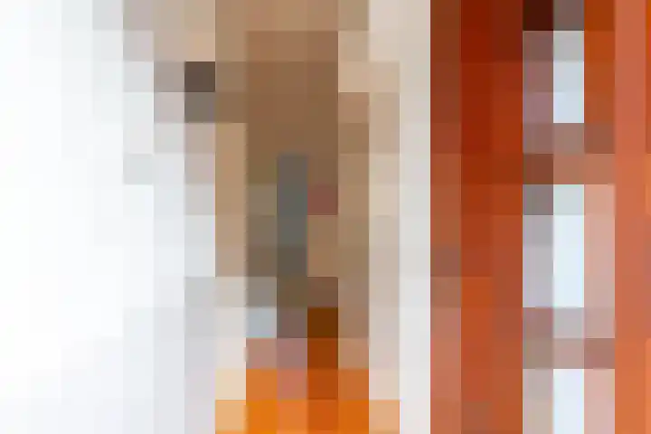 Van der Waalsstraat 3 Groningen thumbnail 5