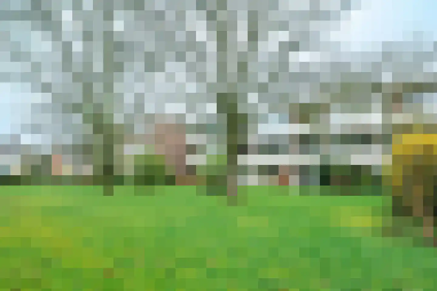 Van der Waalsstraat 36 Wageningen thumbnail 18