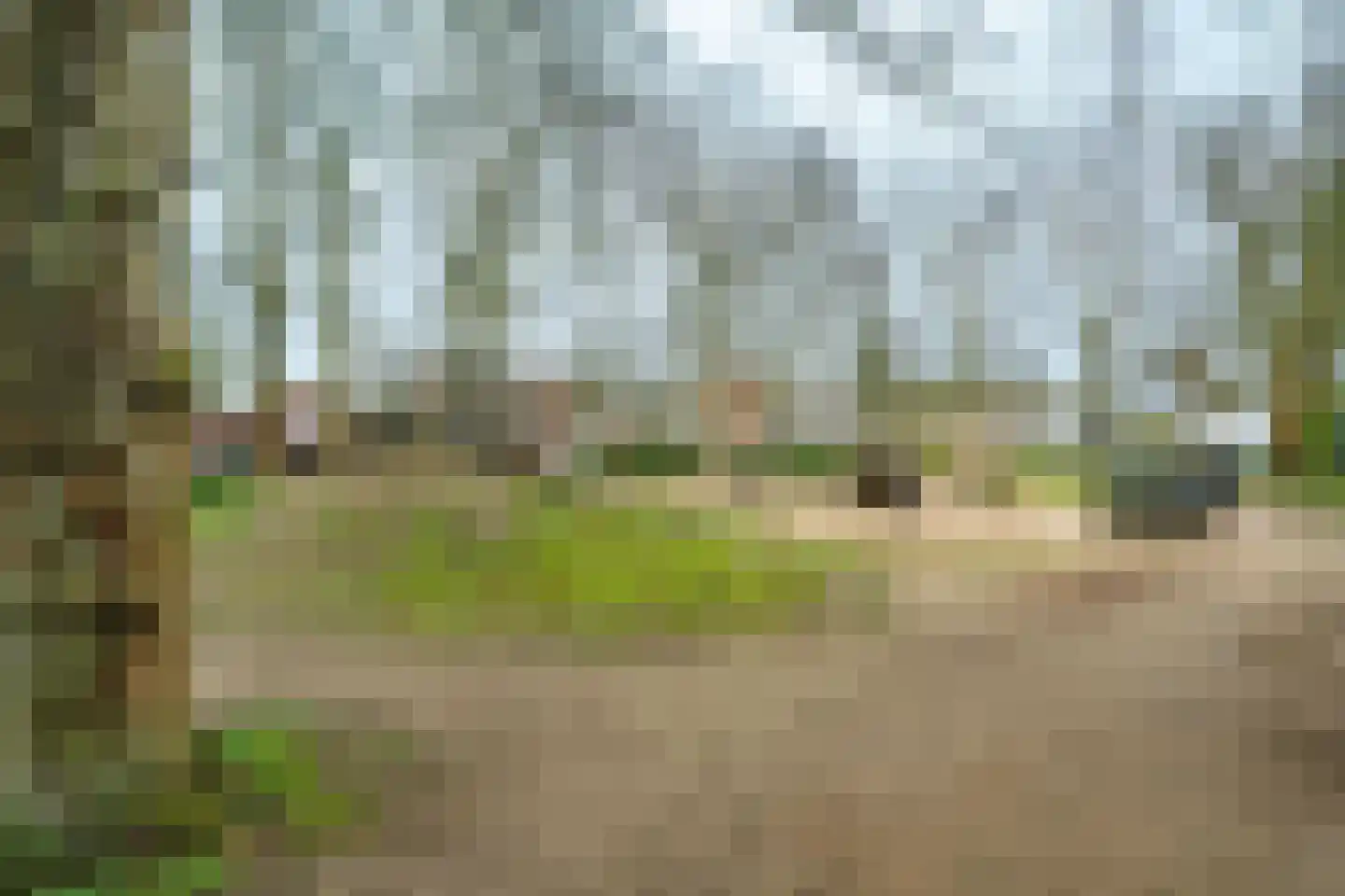 Van der Waalsstraat 36 Wageningen thumbnail 19