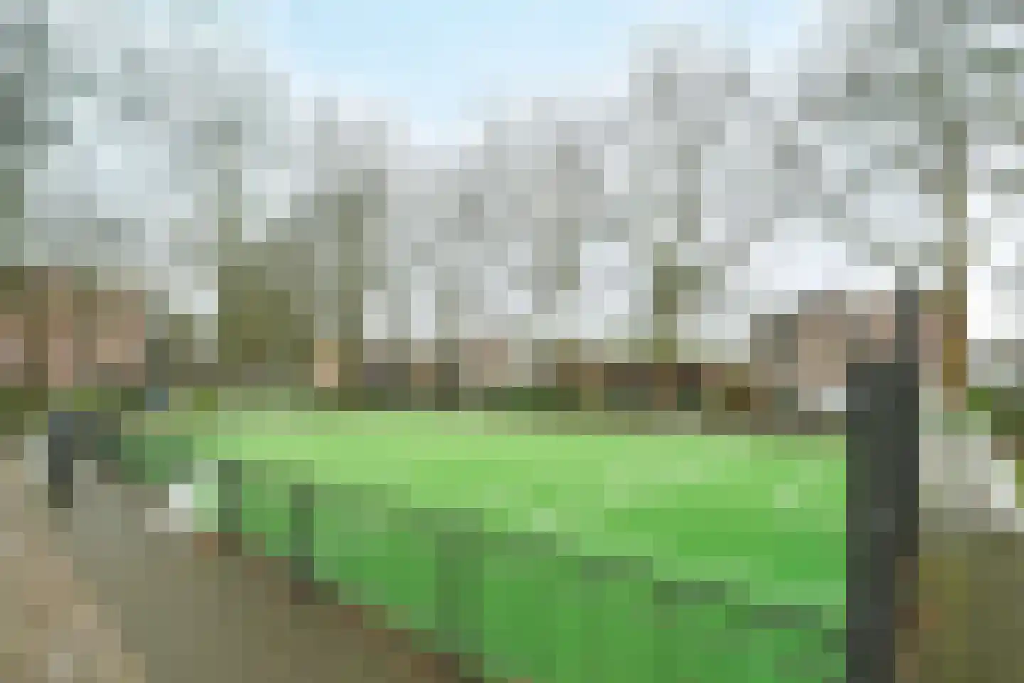 Van der Waalsstraat 36 Wageningen thumbnail 20