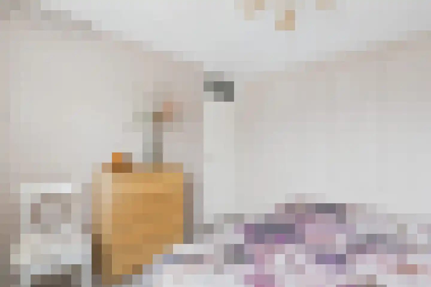 van der Waalsstraat 37 Terneuzen thumbnail 25
