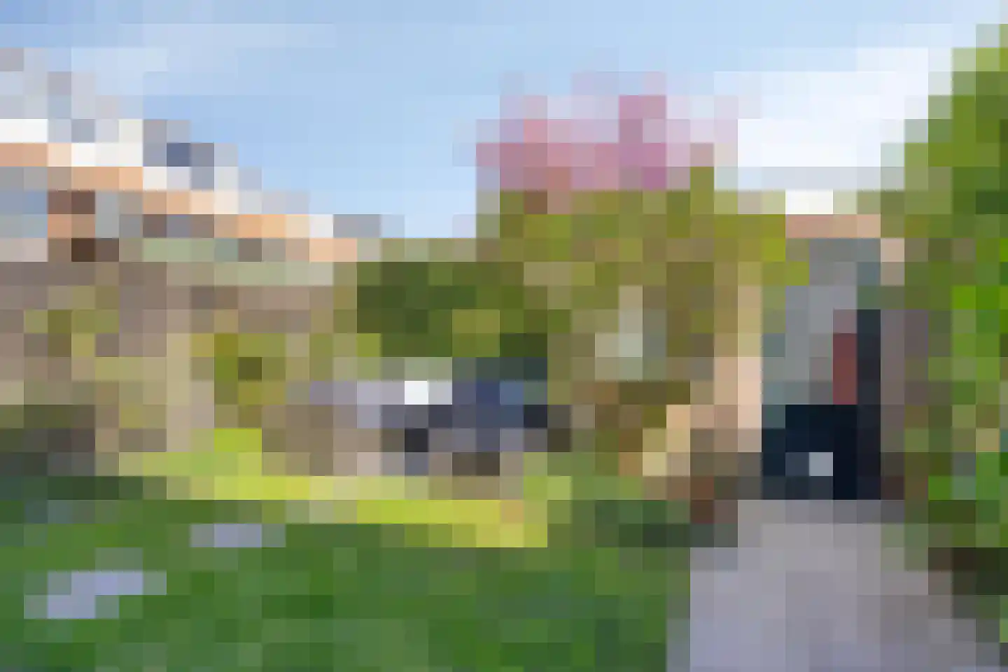 Van der Waalsstraat 38 Leiden thumbnail 4