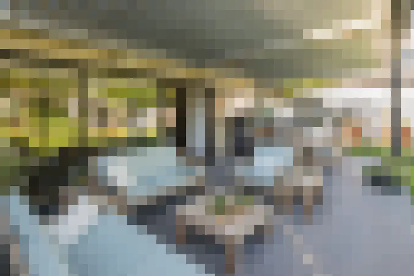 Van der Waalsstraat 40 Ridderkerk thumbnail 4