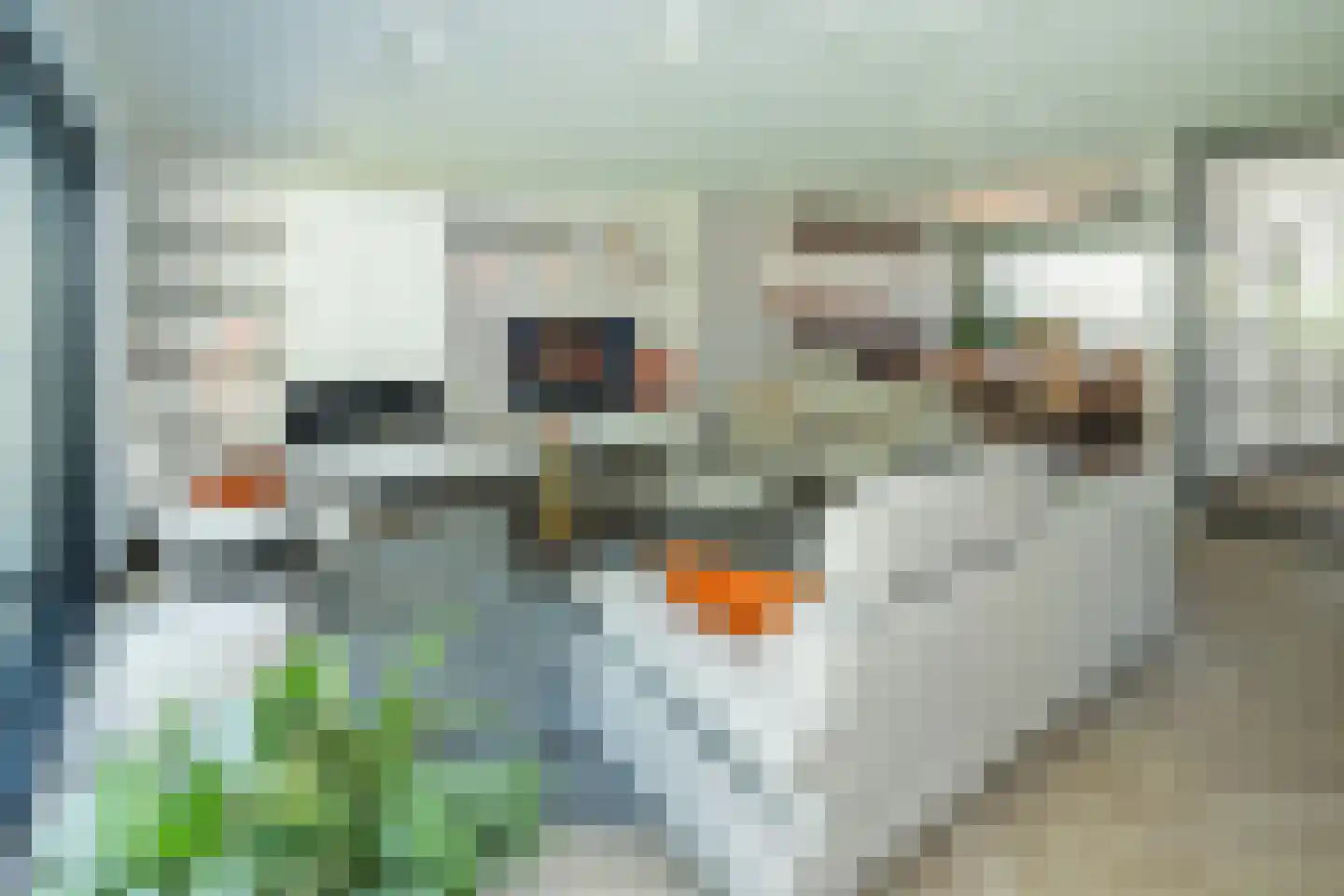 Van der Waalsstraat 40 Ridderkerk thumbnail 5