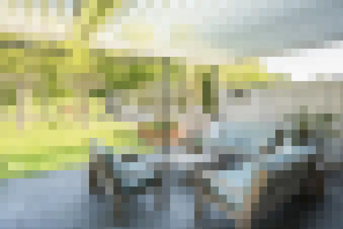 Van der Waalsstraat 40 Ridderkerk thumbnail 7