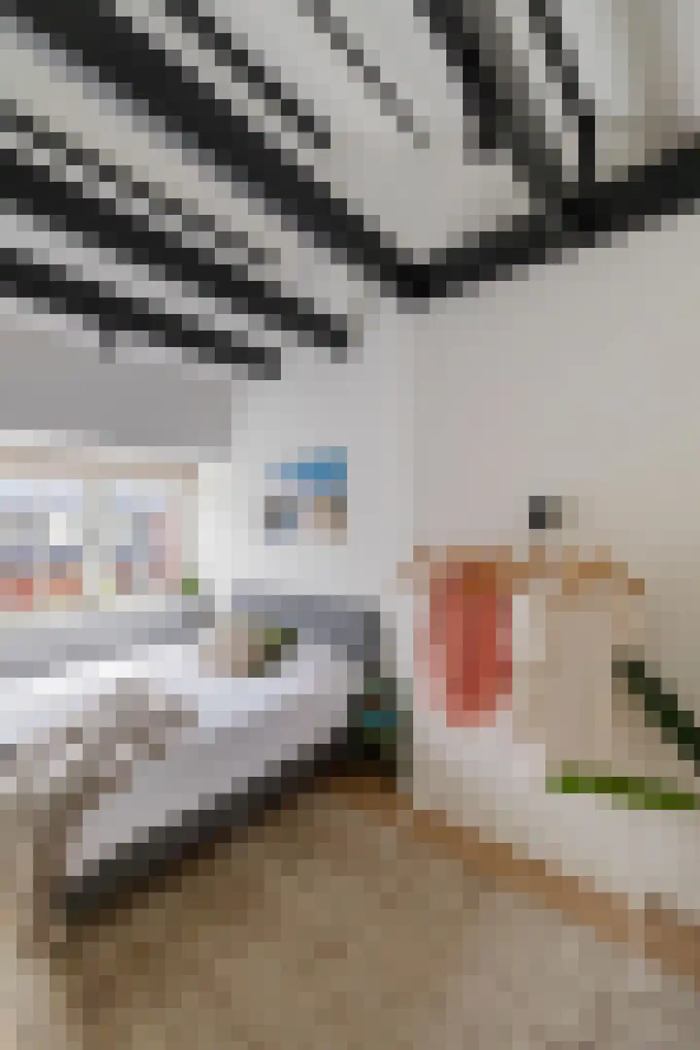 Van der Waalsstraat 5 b Groningen thumbnail 20