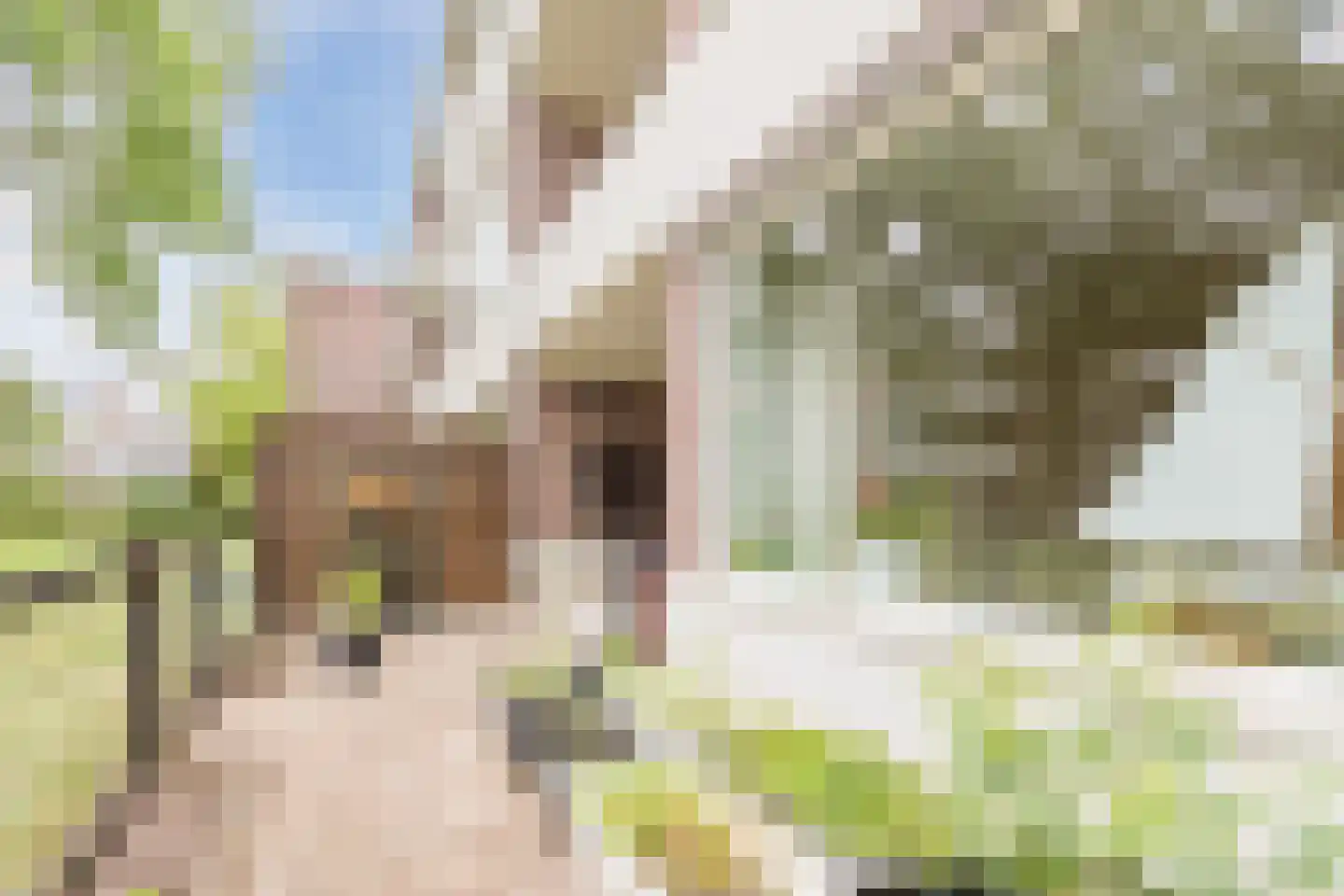 Van der Waalsstraat 50 Wageningen thumbnail 26